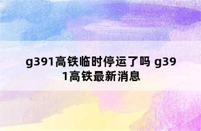 g391高铁临时停运了吗 g391高铁最新消息